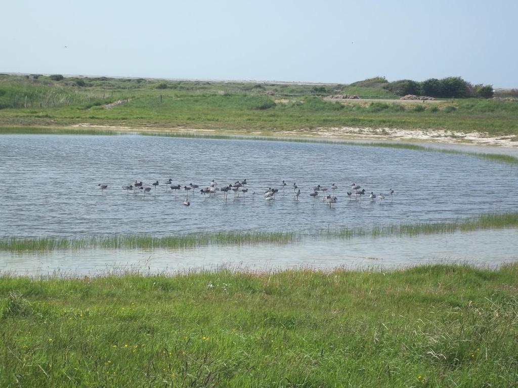 קאיו סור מר Camping Paradis Les Galets De La Molliere מראה חיצוני תמונה
